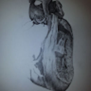 Meet your Posher, Mackenzie